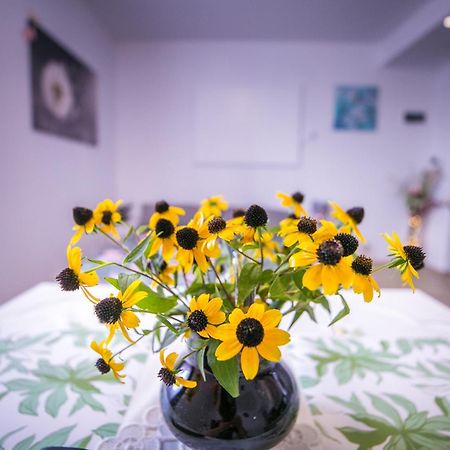 Przytulne Poddasze 프르제미슬 외부 사진
